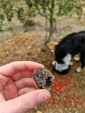 Image du bien APR713172